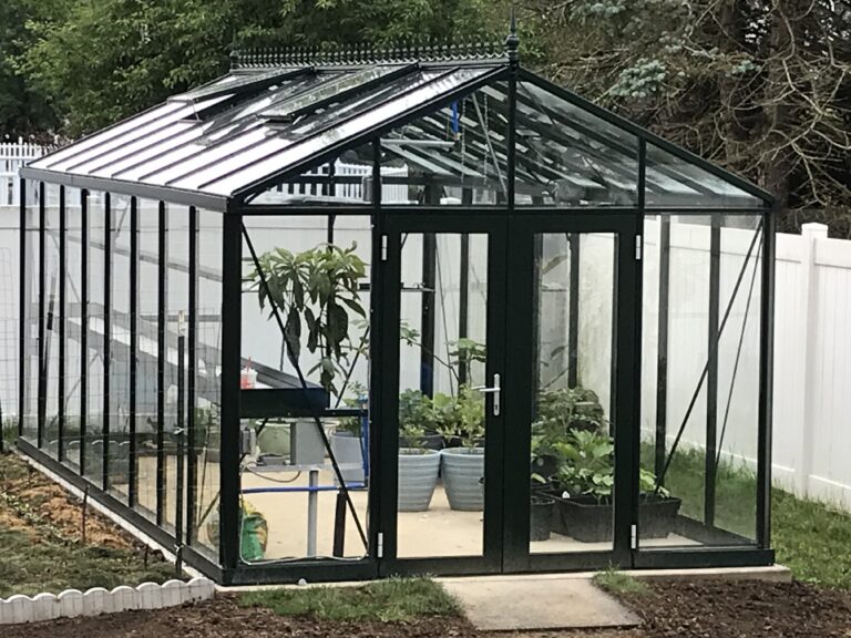 Royal Victorian VI 36 aluminum and glass greenhouse in black