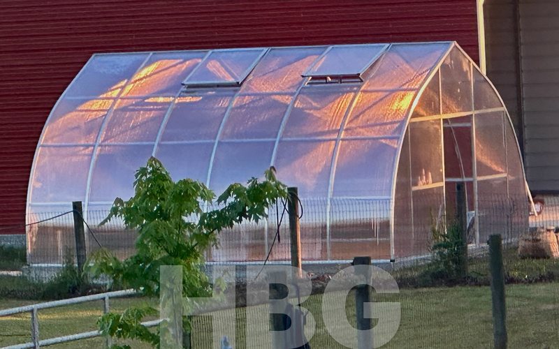 Riga XL6 greenhouse built by HBGreenhouses in Walton County, GA